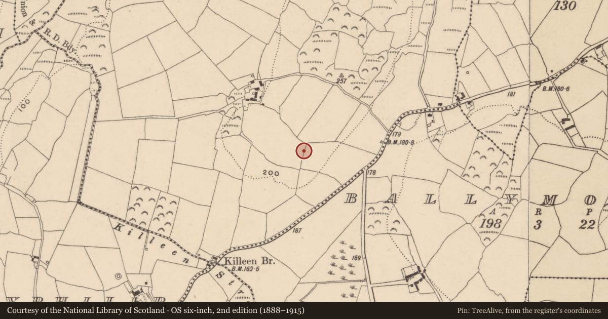Ordnance Survey six-inch map, 2nd edition (1888–1915) covering the location of Ringfort - unclassified, Ballybrennock, County Waterford, with a pin at the register's coordinates