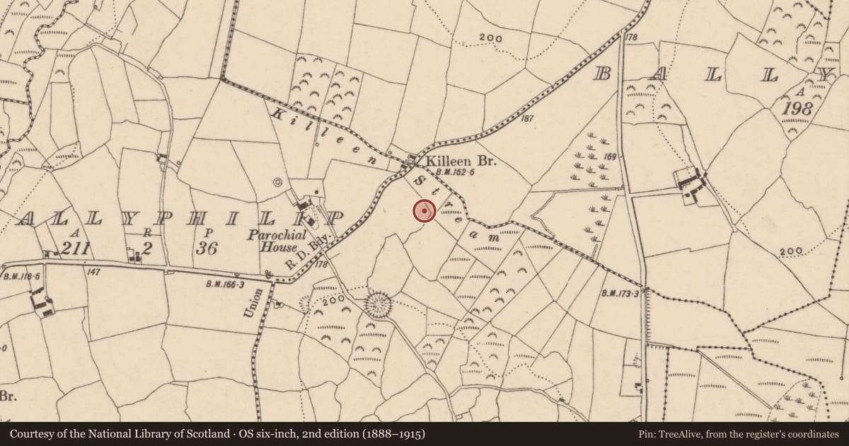 Ordnance Survey six-inch map, 2nd edition (1888–1915) covering the location of Church, Ballydermody, County Waterford, with a pin at the register's coordinates