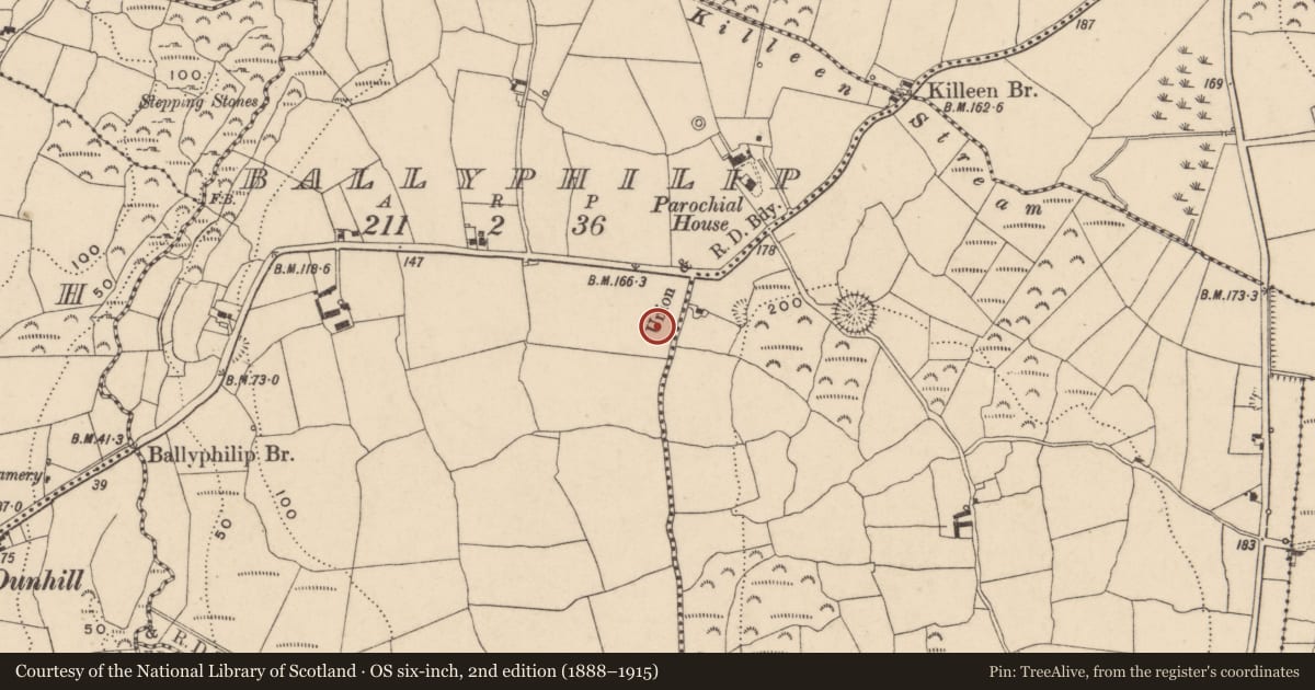 Ordnance Survey six-inch map, 2nd edition (1888–1915) covering the location of Ringfort - unclassified, Ballyphilip, County Waterford, with a pin at the register's coordinates
