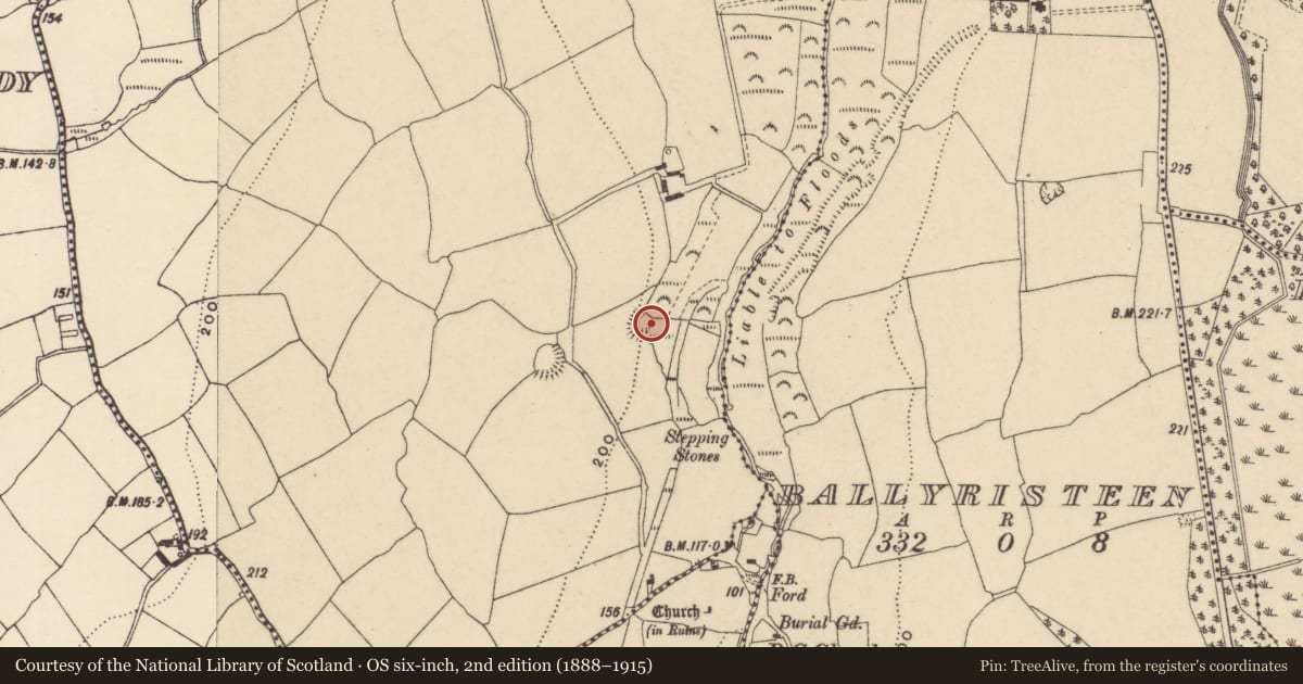 Ordnance Survey six-inch map, 2nd edition (1888–1915) covering the location of Earthwork, Ballyvadden, County Waterford, with a pin at the register's coordinates