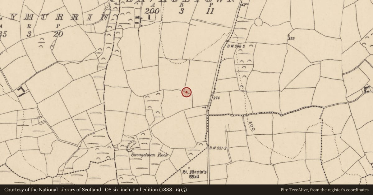 Ordnance Survey six-inch map, 2nd edition (1888–1915) covering the location of Megalithic tomb - portal tomb, Savagetown, County Waterford, with a pin at the register's coordinates