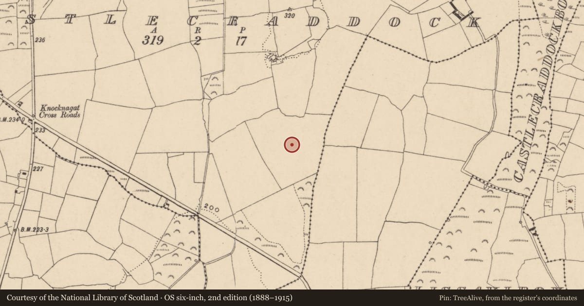 Ordnance Survey six-inch map, 2nd edition (1888–1915) covering the location of Enclosure, Castlecraddock, County Waterford, with a pin at the register's coordinates