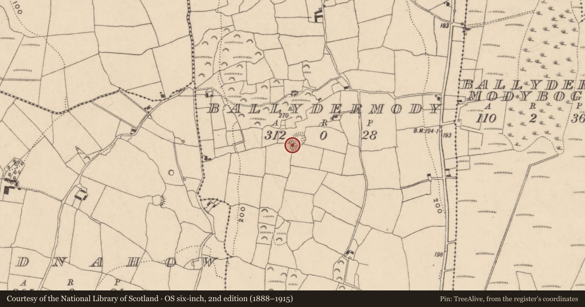 Ordnance Survey six-inch map, 2nd edition (1888–1915) covering the location of Ringfort - rath, Ballydermody, County Waterford, with a pin at the register's coordinates