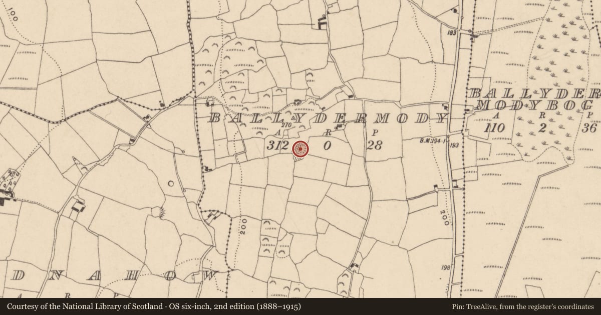 Ordnance Survey six-inch map, 2nd edition (1888–1915) covering the location of Ringfort - rath, Ballydermody, County Waterford, with a pin at the register's coordinates