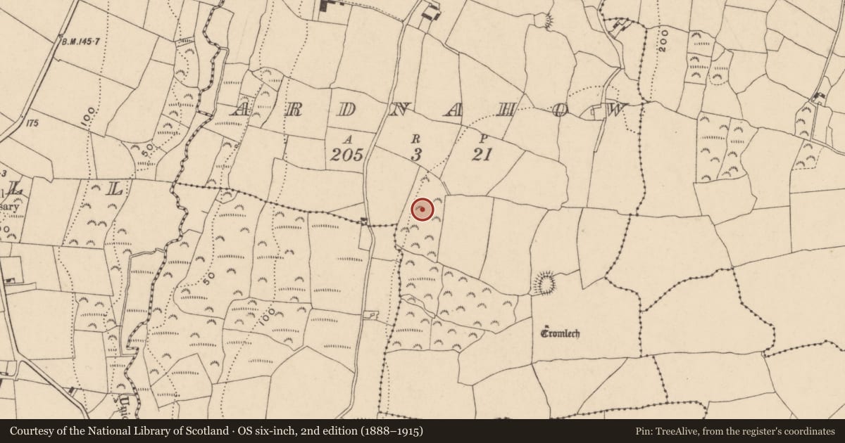 Ordnance Survey six-inch map, 2nd edition (1888–1915) covering the location of Ringfort - unclassified, Ardnahow, County Waterford, with a pin at the register's coordinates