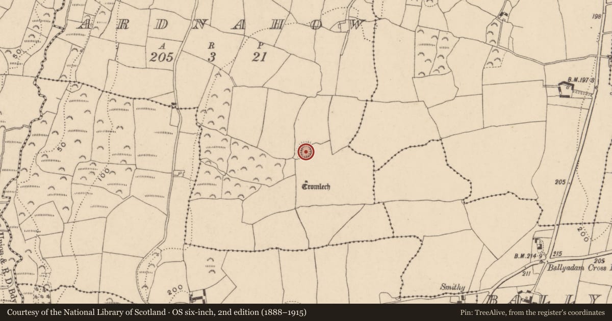 Ordnance Survey six-inch map, 2nd edition (1888–1915) covering the location of Ringfort - rath, Ardnahow, County Waterford, with a pin at the register's coordinates