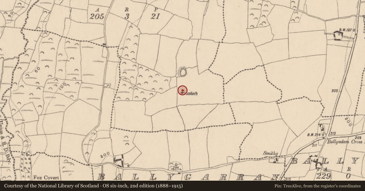 Ordnance Survey six-inch map, 2nd edition (1888–1915) covering the location of Standing stone, Ardnahow, County Waterford, with a pin at the register's coordinates