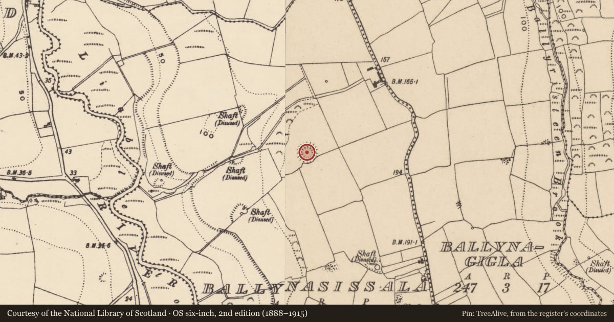 Ordnance Survey six-inch map, 2nd edition (1888–1915) covering the location of Enclosure, Ballynasissala, County Waterford, with a pin at the register's coordinates
