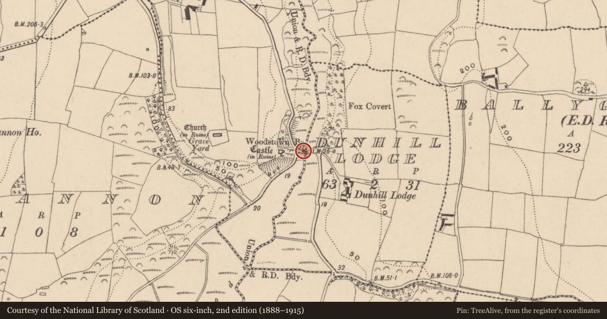 Ordnance Survey six-inch map, 2nd edition (1888–1915) covering the location of Bridge, Dunhill, Dunhill Lodge, County Waterford, with a pin at the register's coordinates