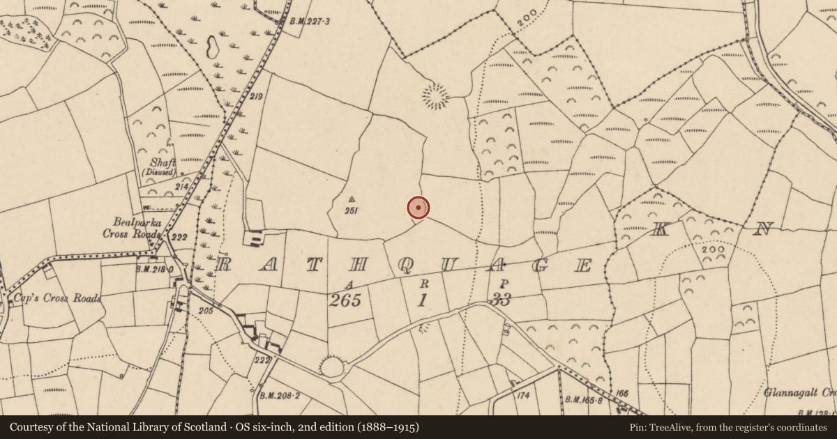 Ordnance Survey six-inch map, 2nd edition (1888–1915) covering the location of Ringfort - rath, Rathquage, County Waterford, with a pin at the register's coordinates