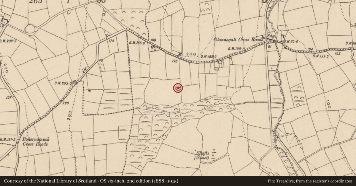 Ordnance Survey six-inch map, 2nd edition (1888–1915) covering the location of Earthwork, Kilmurrin, County Waterford, with a pin at the register's coordinates