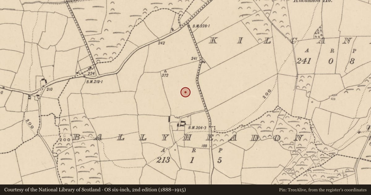 Ordnance Survey six-inch map, 2nd edition (1888–1915) covering the location of Ringfort - unclassified, Ballyheadon, County Waterford, with a pin at the register's coordinates