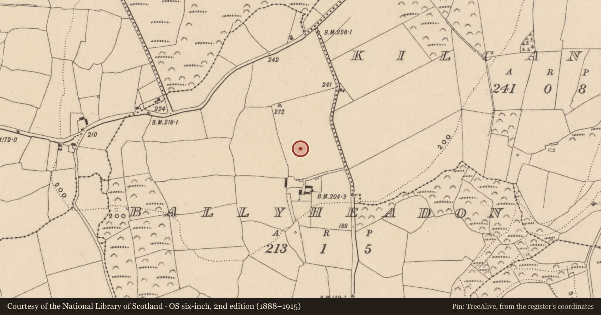 Ordnance Survey six-inch map, 2nd edition (1888–1915) covering the location of Earthwork, Ballyheadon, County Waterford, with a pin at the register's coordinates