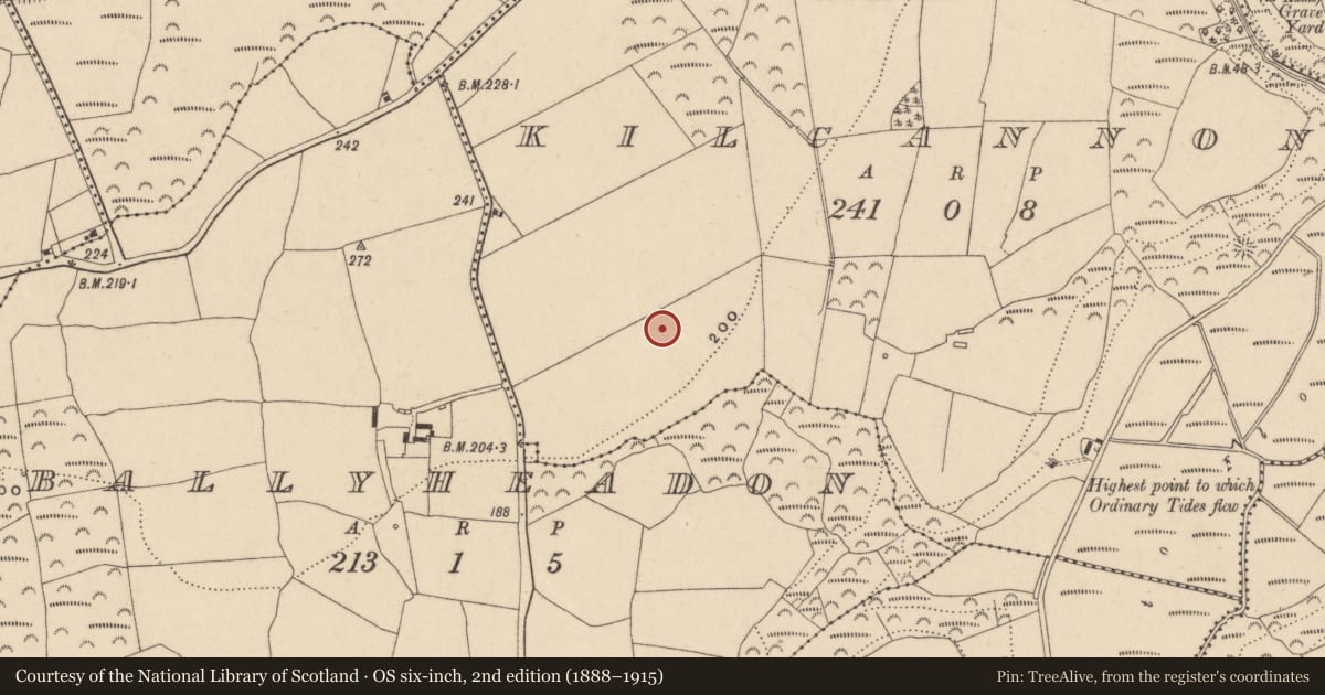 Ordnance Survey six-inch map, 2nd edition (1888–1915) covering the location of Ringfort - unclassified, Kilcannon, County Waterford, with a pin at the register's coordinates
