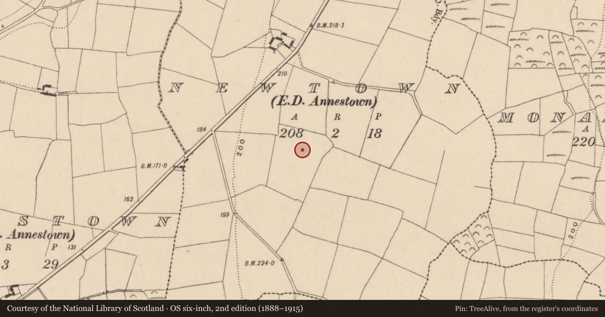 Ordnance Survey six-inch map, 2nd edition (1888–1915) covering the location of Ringfort - unclassified, Newtown (Middlethird By., Islandikane Par.), County Waterford, with a pin at the register's coordinates