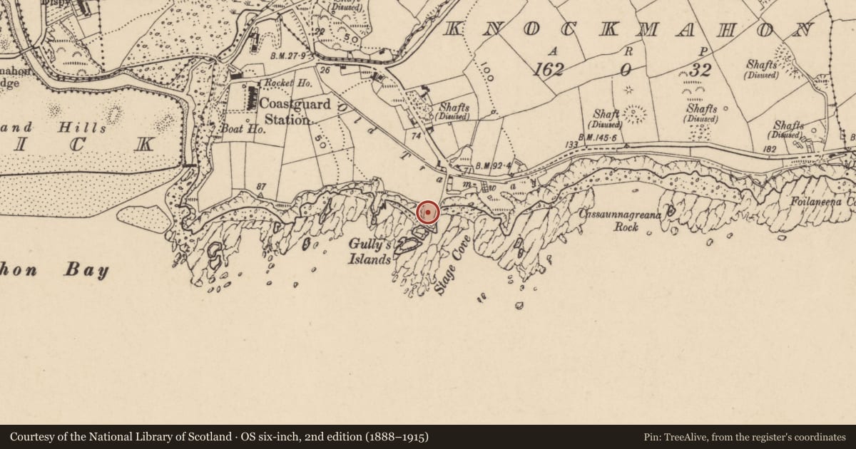 Ordnance Survey six-inch map, 2nd edition (1888–1915) covering the location of Ogham stone, Knockmahon, County Waterford, with a pin at the register's coordinates