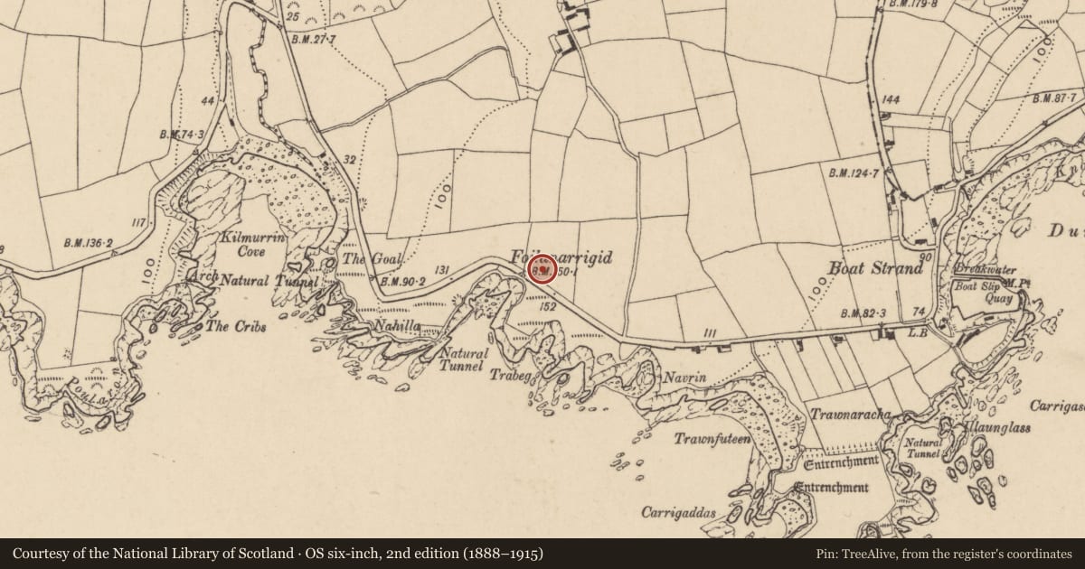 Ordnance Survey six-inch map, 2nd edition (1888–1915) covering the location of Enclosure, Dunabrattin, County Waterford, with a pin at the register's coordinates