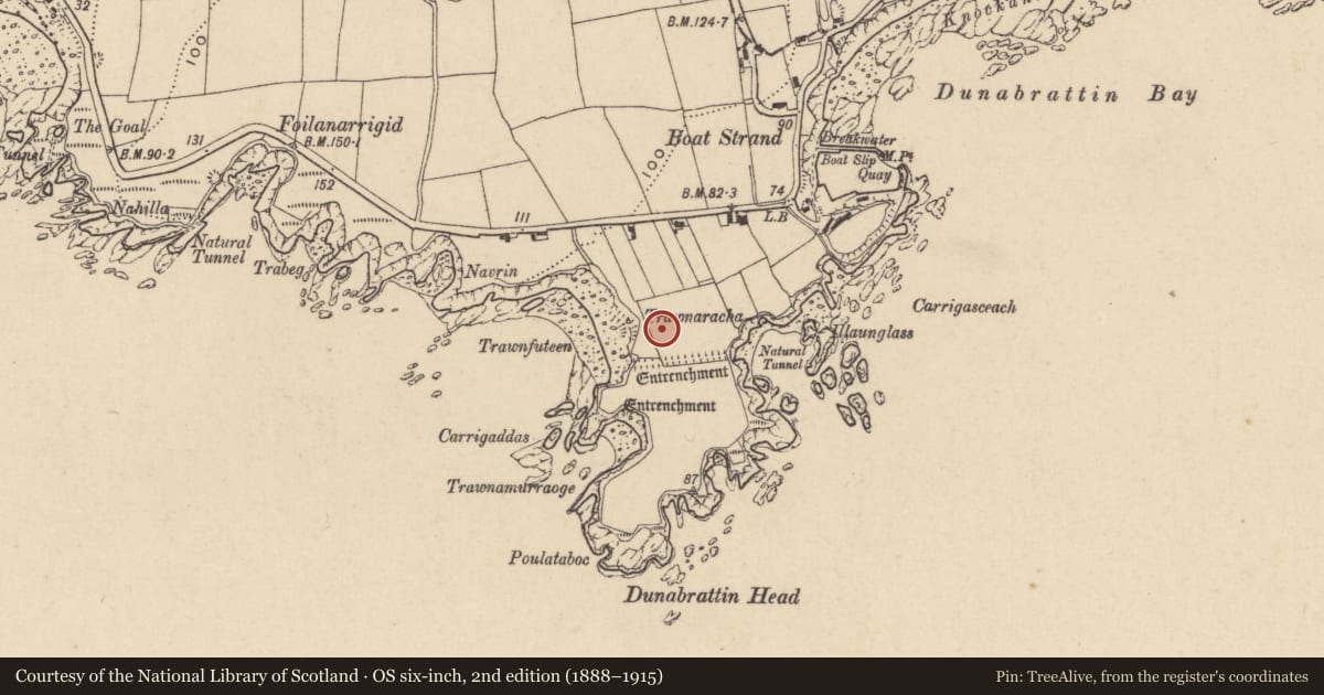 Ordnance Survey six-inch map, 2nd edition (1888–1915) covering the location of Enclosure, Dunabrattin, County Waterford, with a pin at the register's coordinates