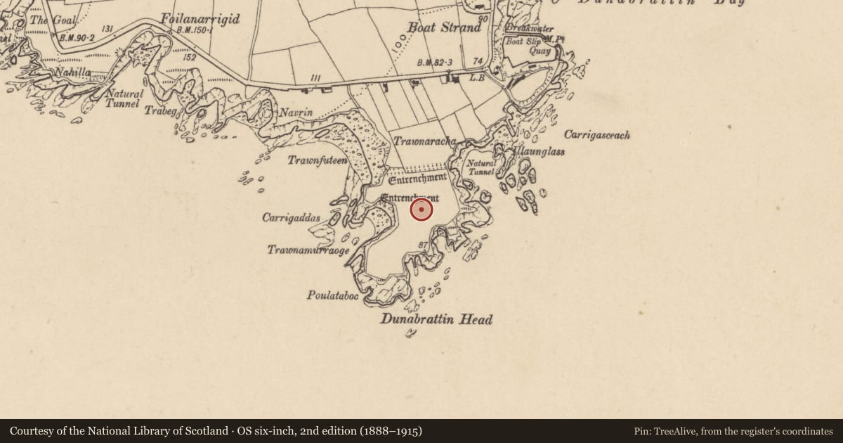 Ordnance Survey six-inch map, 2nd edition (1888–1915) covering the location of Hut site, Dunabrattin, County Waterford, with a pin at the register's coordinates