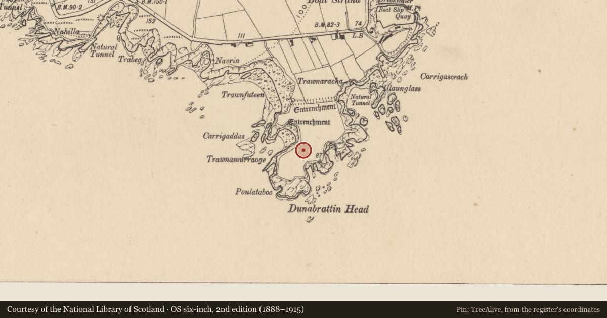 Ordnance Survey six-inch map, 2nd edition (1888–1915) covering the location of Enclosure, Dunabrattin, County Waterford, with a pin at the register's coordinates