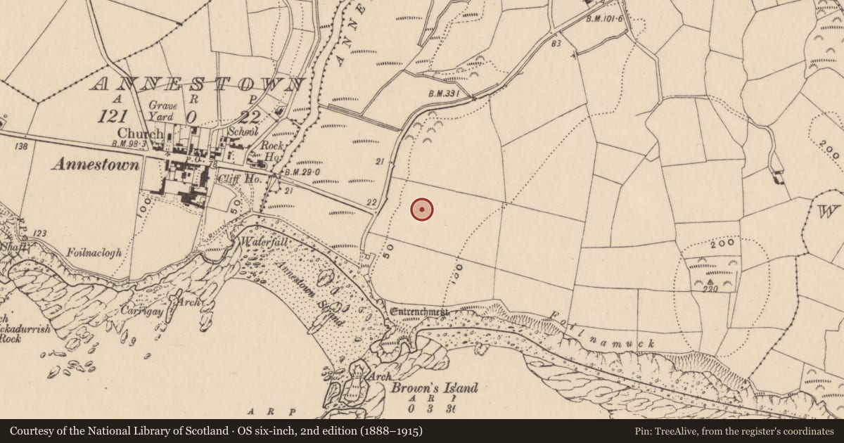 Ordnance Survey six-inch map, 2nd edition (1888–1915) covering the location of Standing stone, Woodstown (Middlethird By., Islandikane Par.), County Waterford, with a pin at the register's coordinates