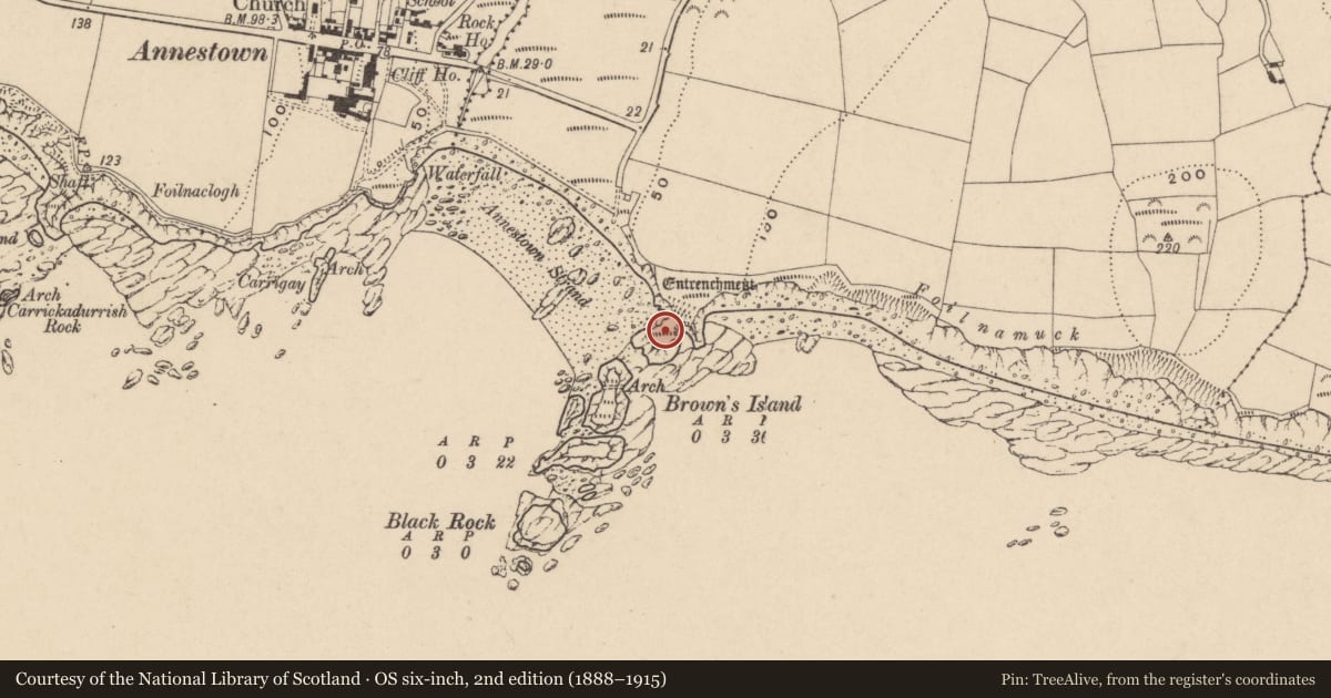 Ordnance Survey six-inch map, 2nd edition (1888–1915) covering the location of Promontory fort - coastal, Woodstown (Middlethird By., Islandikane Par.), County Waterford, with a pin at the register's coordinates
