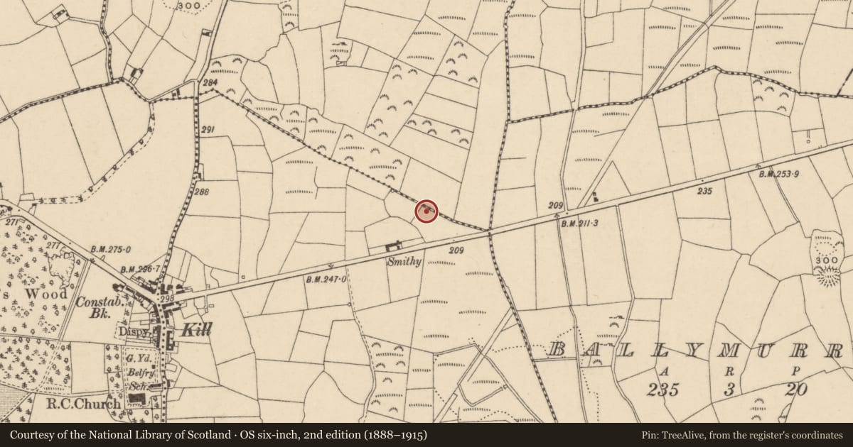Ordnance Survey six-inch map, 2nd edition (1888–1915) covering the location of Standing stone, Kilbarrymeaden, County Waterford, with a pin at the register's coordinates