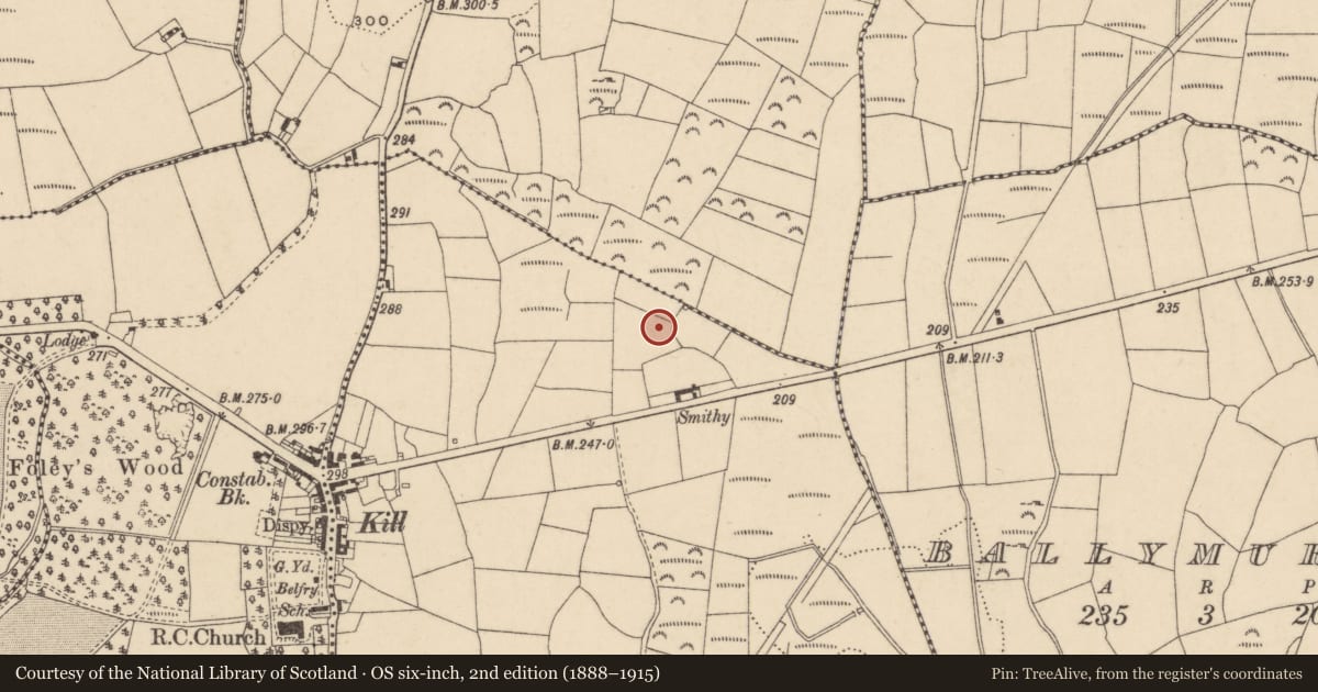 Ordnance Survey six-inch map, 2nd edition (1888–1915) covering the location of Standing stone, Kilbarrymeaden, County Waterford, with a pin at the register's coordinates