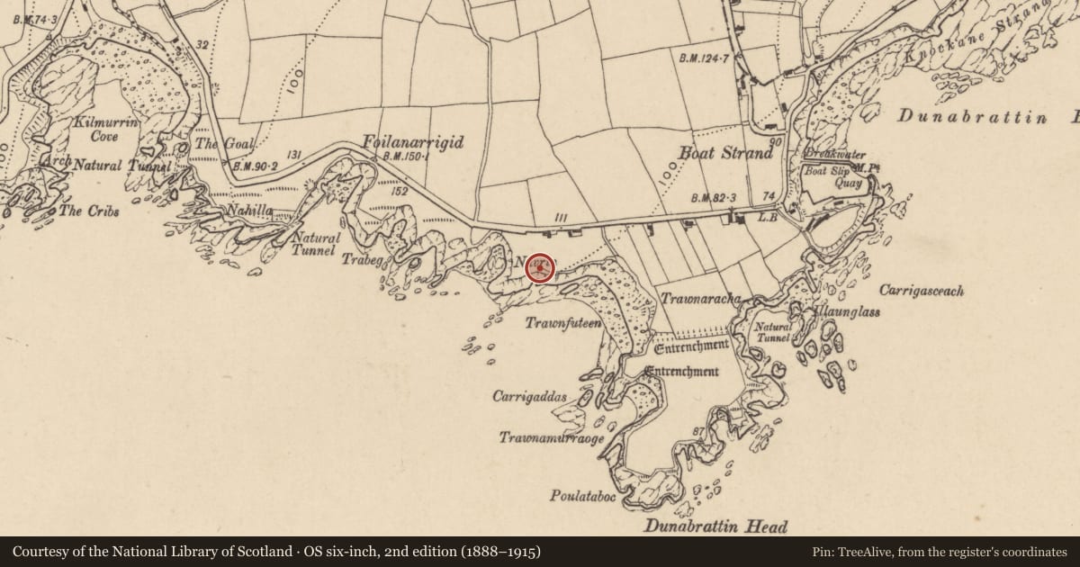 Ordnance Survey six-inch map, 2nd edition (1888–1915) covering the location of Rock scribing - folk art, Dunabrattin, County Waterford, with a pin at the register's coordinates