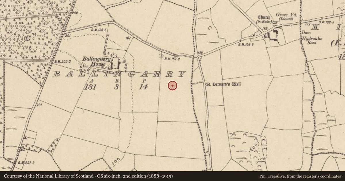 Ordnance Survey six-inch map, 2nd edition (1888–1915) covering the location of Standing stone, Ballingarry, County Waterford, with a pin at the register's coordinates