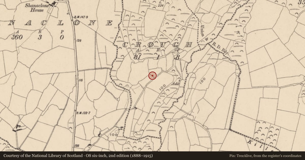 Ordnance Survey six-inch map, 2nd edition (1888–1915) covering the location of Standing stone - pair, Crough, County Waterford, with a pin at the register's coordinates