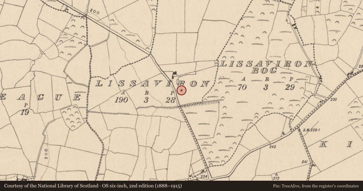 Ordnance Survey six-inch map, 2nd edition (1888–1915) covering the location of Enclosure, Lissaviron, County Waterford, with a pin at the register's coordinates