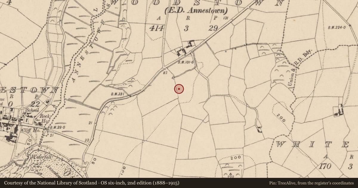 Ordnance Survey six-inch map, 2nd edition (1888–1915) covering the location of Standing stone, Woodstown (Middlethird By., Islandikane Par.), County Waterford, with a pin at the register's coordinates