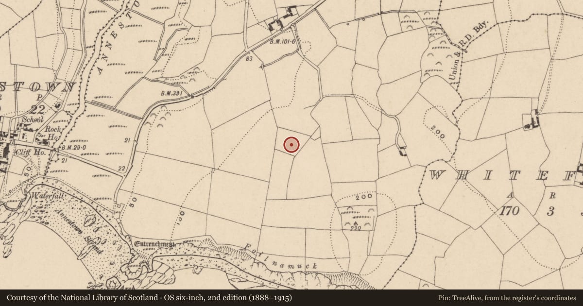 Ordnance Survey six-inch map, 2nd edition (1888–1915) covering the location of Fulacht fia, Woodstown (Middlethird By., Islandikane Par.), County Waterford, with a pin at the register's coordinates