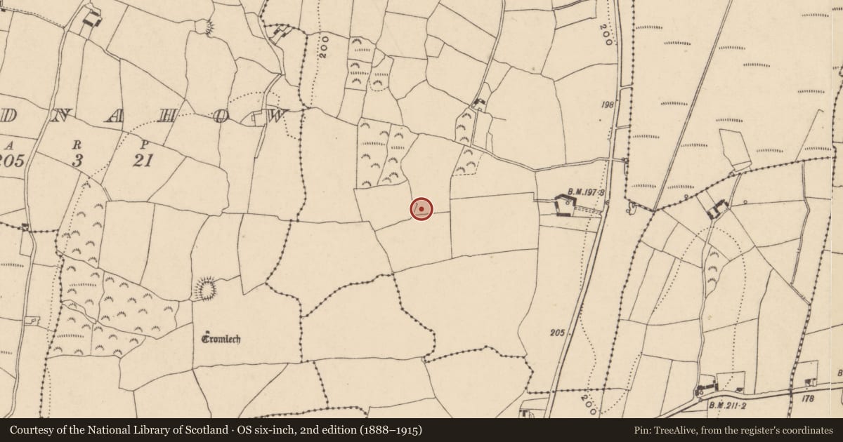 Ordnance Survey six-inch map, 2nd edition (1888–1915) covering the location of Enclosure, Ballydermody, County Waterford, with a pin at the register's coordinates