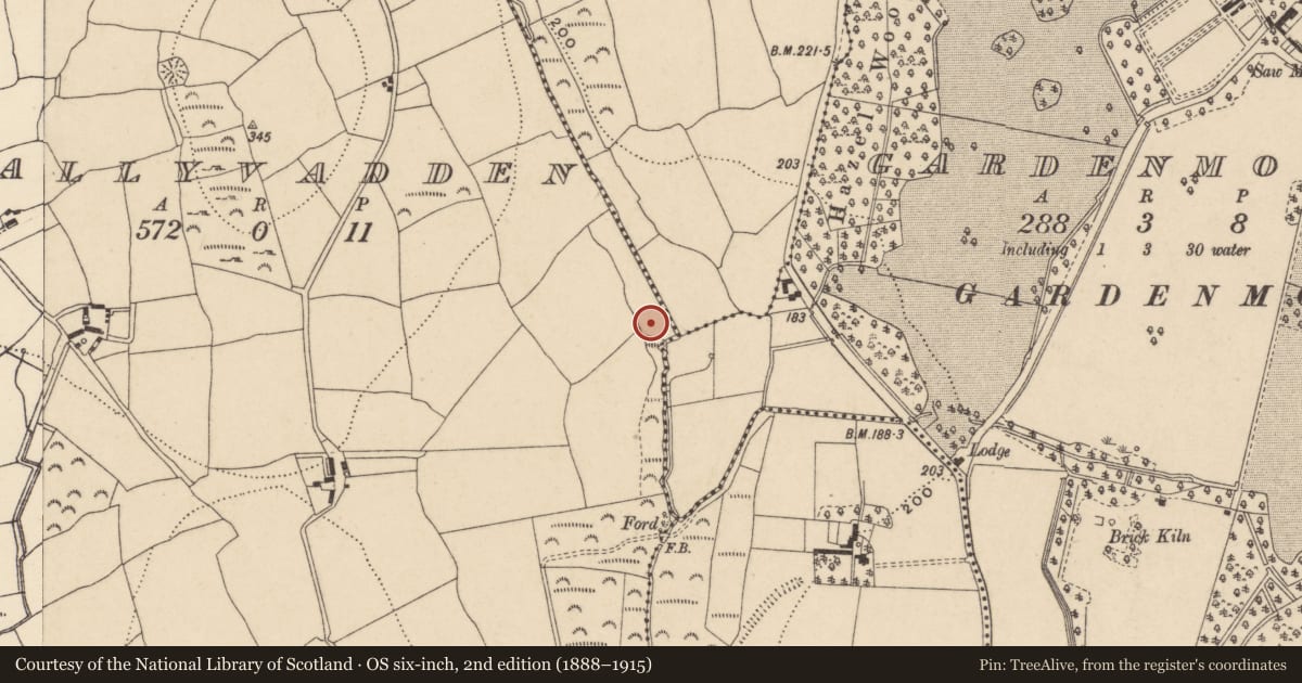 Ordnance Survey six-inch map, 2nd edition (1888–1915) covering the location of Burnt spread, Ballyvadden, County Waterford, with a pin at the register's coordinates
