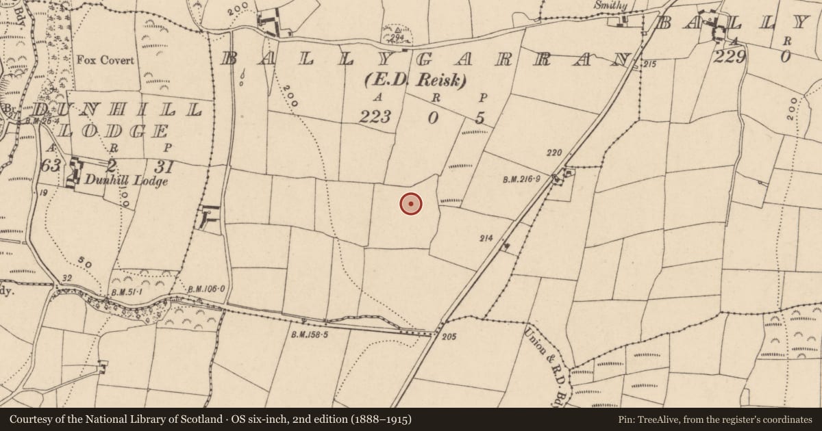 Ordnance Survey six-inch map, 2nd edition (1888–1915) covering the location of Metalworking site, Ballygarran, County Waterford, with a pin at the register's coordinates