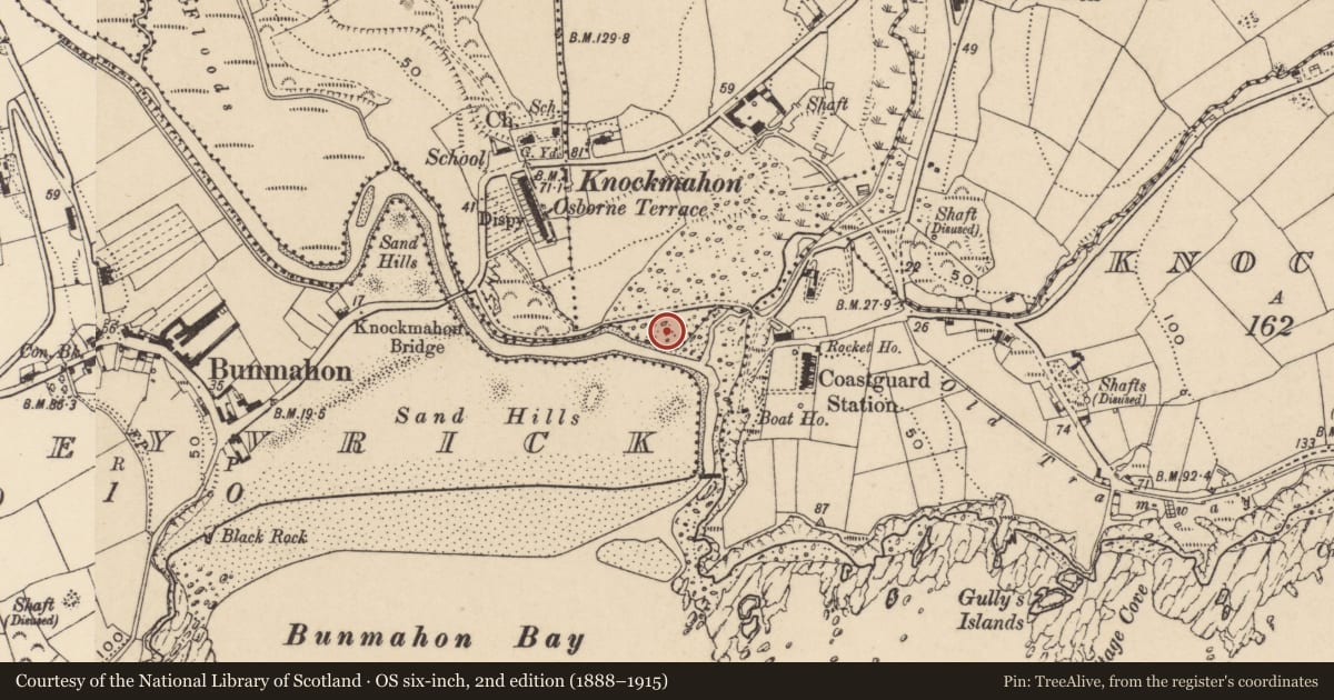 Ordnance Survey six-inch map, 2nd edition (1888–1915) covering the location of Ogham stone (present location), Ballynagigla, County Waterford, with a pin at the register's coordinates