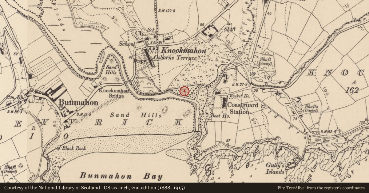 Ordnance Survey six-inch map, 2nd edition (1888–1915) covering the location of Ogham stone (present location), Ballynagigla, County Waterford, with a pin at the register's coordinates