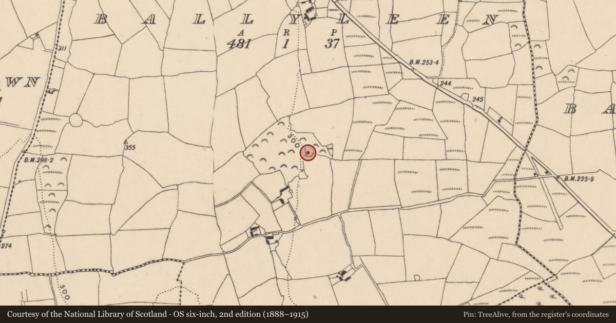 Ordnance Survey six-inch map, 2nd edition (1888–1915) covering the location of Mass-rock, Ballyleen, County Waterford, with a pin at the register's coordinates