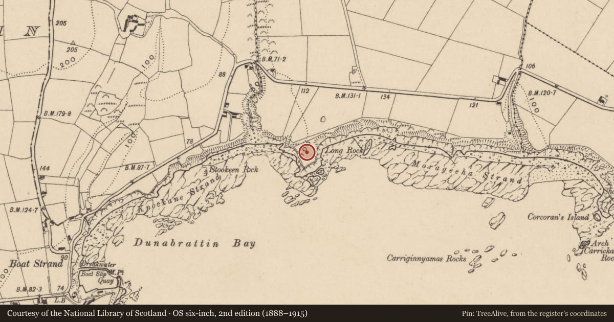 Ordnance Survey six-inch map, 2nd edition (1888–1915) covering the location of Promontory fort - coastal, Benvoy, County Waterford, with a pin at the register's coordinates