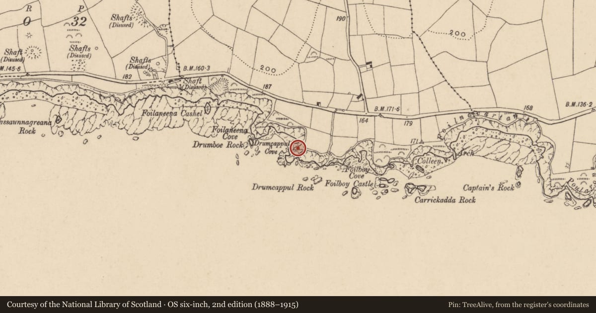 Ordnance Survey six-inch map, 2nd edition (1888–1915) covering the location of Promontory fort - coastal, Tankardstown, County Waterford, with a pin at the register's coordinates