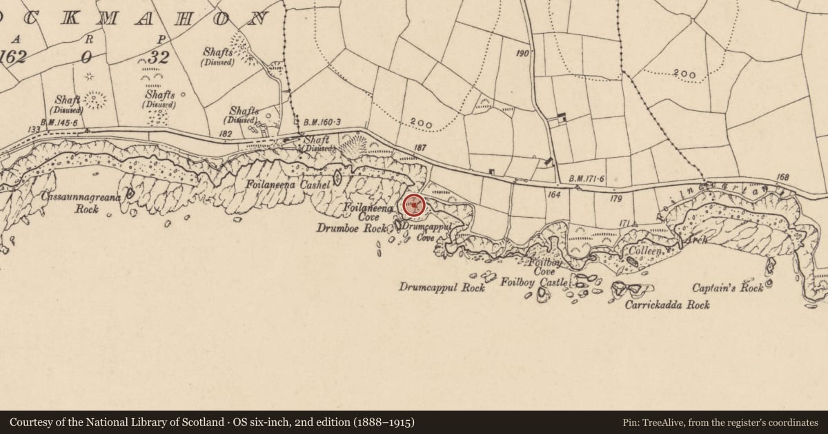 Ordnance Survey six-inch map, 2nd edition (1888–1915) covering the location of Promontory fort - coastal, Tankardstown, County Waterford, with a pin at the register's coordinates