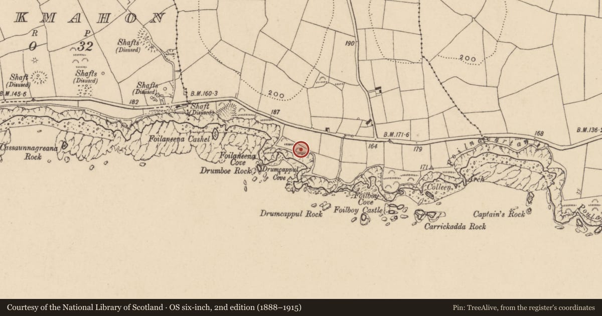 Ordnance Survey six-inch map, 2nd edition (1888–1915) covering the location of Enclosure, Tankardstown, County Waterford, with a pin at the register's coordinates