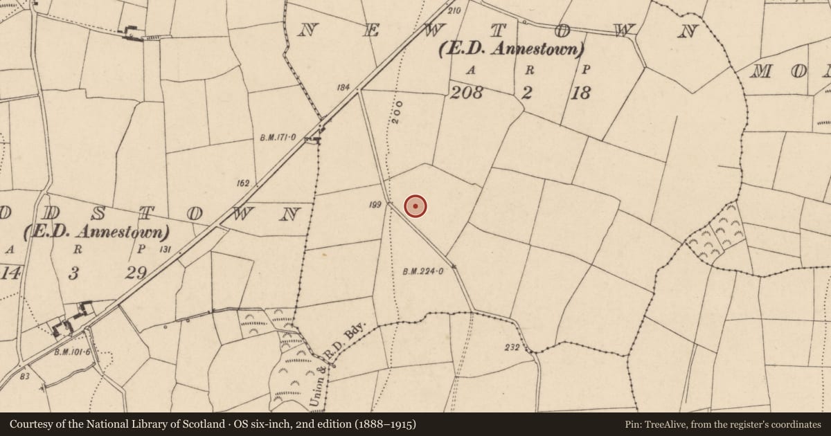Ordnance Survey six-inch map, 2nd edition (1888–1915) covering the location of Enclosure, Newtown (Middlethird By., Islandikane Par.), County Waterford, with a pin at the register's coordinates