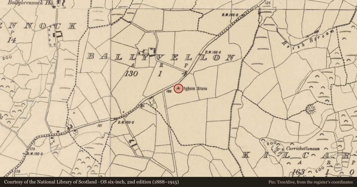 Ordnance Survey six-inch map, 2nd edition (1888–1915) covering the location of Standing stone, Ballyvellon, County Waterford, with a pin at the register's coordinates
