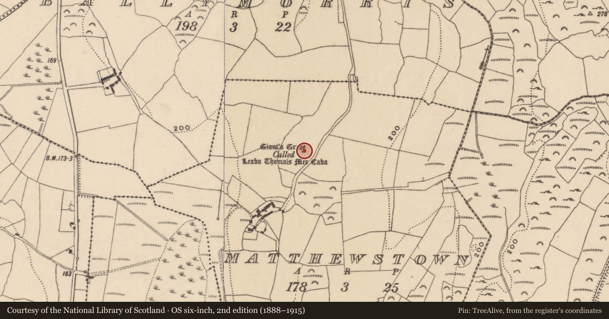 Ordnance Survey six-inch map, 2nd edition (1888–1915) covering the location of Megalithic tomb - passage tomb, Matthewstown, County Waterford, with a pin at the register's coordinates