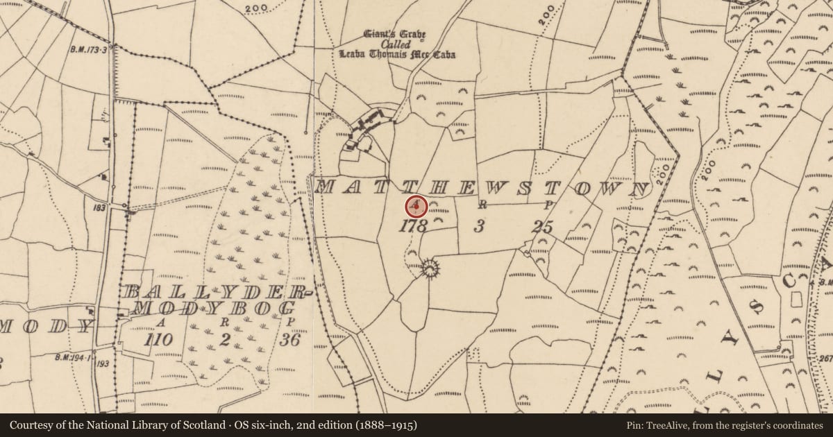 Ordnance Survey six-inch map, 2nd edition (1888–1915) covering the location of Earthwork, Matthewstown, County Waterford, with a pin at the register's coordinates