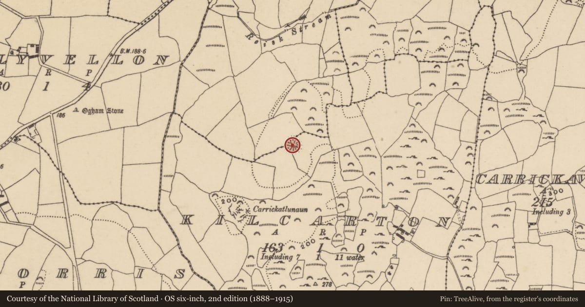 Ordnance Survey six-inch map, 2nd edition (1888–1915) covering the location of Ringfort - rath, Kilcarton, Reisk, County Waterford, with a pin at the register's coordinates