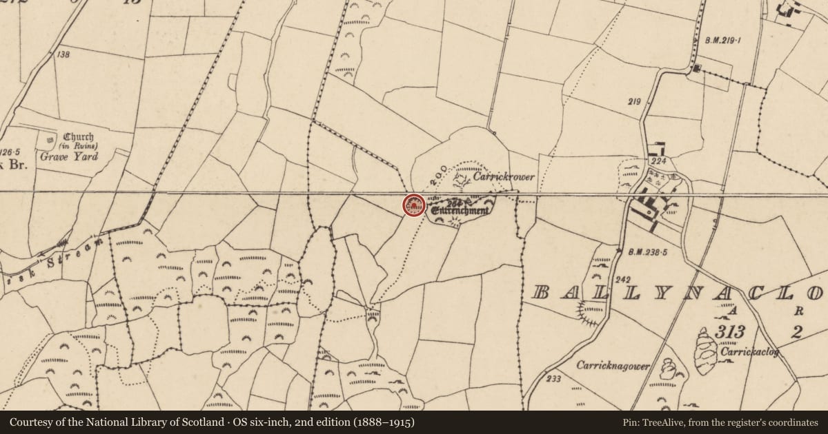 Ordnance Survey six-inch map, 2nd edition (1888–1915) covering the location of Enclosure, Ballynaclogh South, Carrickavarahane, County Waterford, with a pin at the register's coordinates